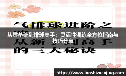 从零基础到排球高手：灵活性训练全方位指南与技巧分享