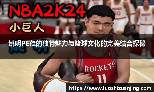 姚明PE鞋的独特魅力与篮球文化的完美结合探秘