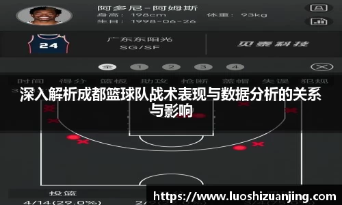 深入解析成都篮球队战术表现与数据分析的关系与影响
